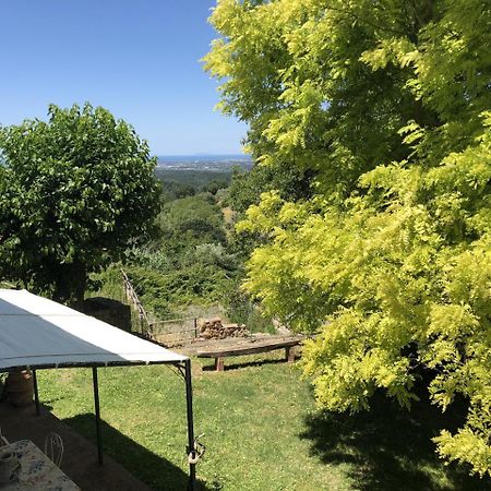 Haus Malerin - Meerblick, Umzaeunter Garten By Toscanatour Guardistallo Kültér fotó