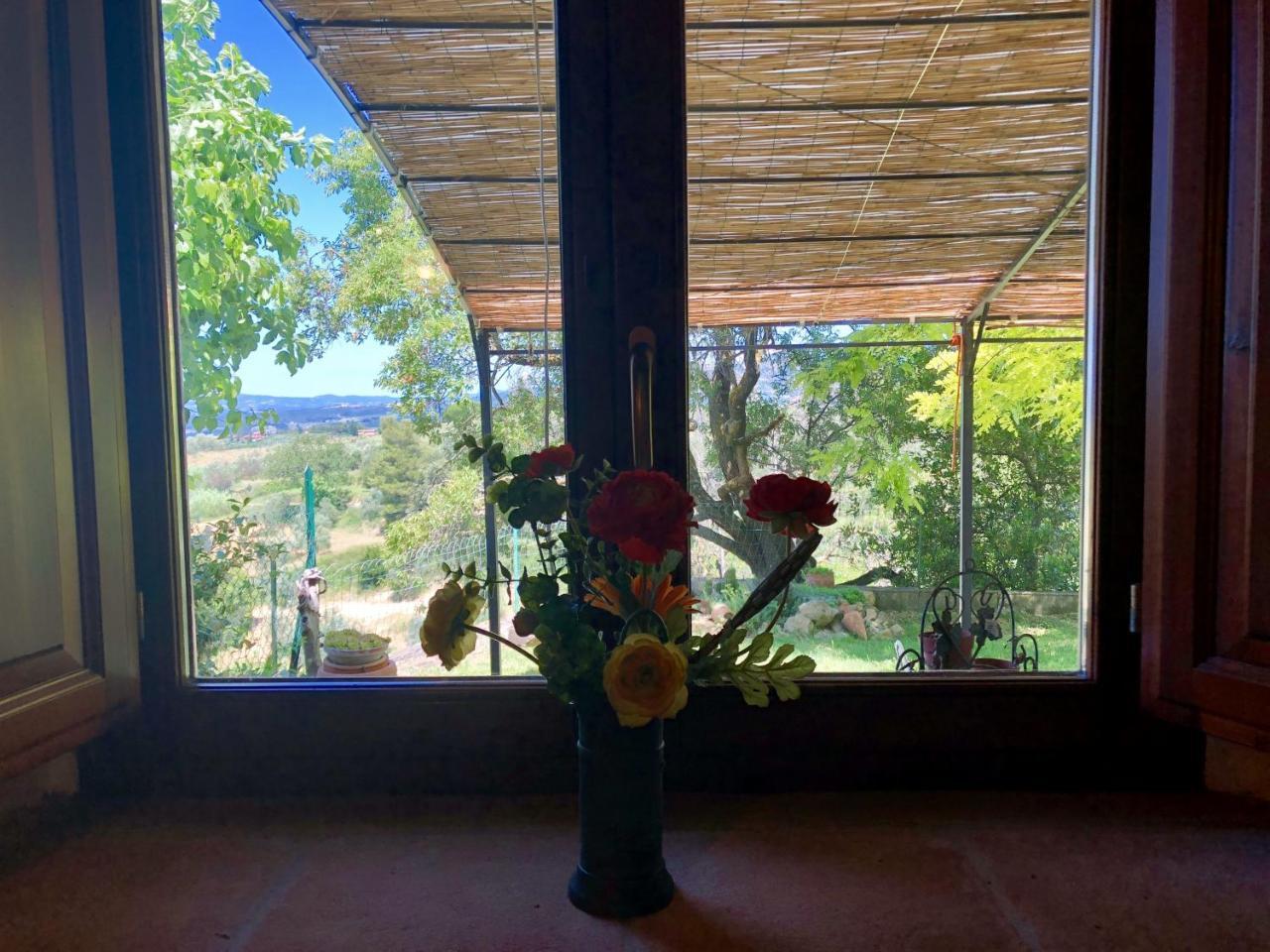 Haus Malerin - Meerblick, Umzaeunter Garten By Toscanatour Guardistallo Kültér fotó