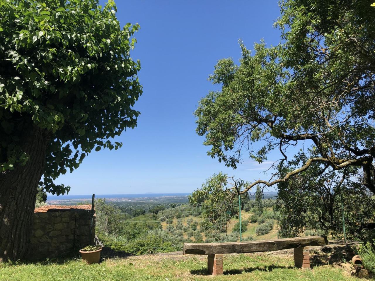 Haus Malerin - Meerblick, Umzaeunter Garten By Toscanatour Guardistallo Kültér fotó