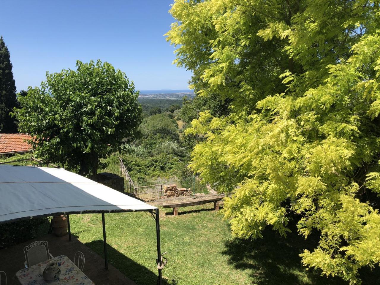 Haus Malerin - Meerblick, Umzaeunter Garten By Toscanatour Guardistallo Kültér fotó