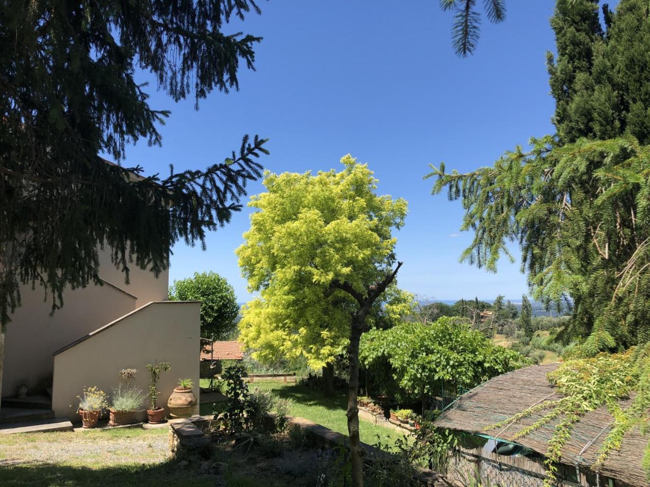 Haus Malerin - Meerblick, Umzaeunter Garten By Toscanatour Guardistallo Kültér fotó
